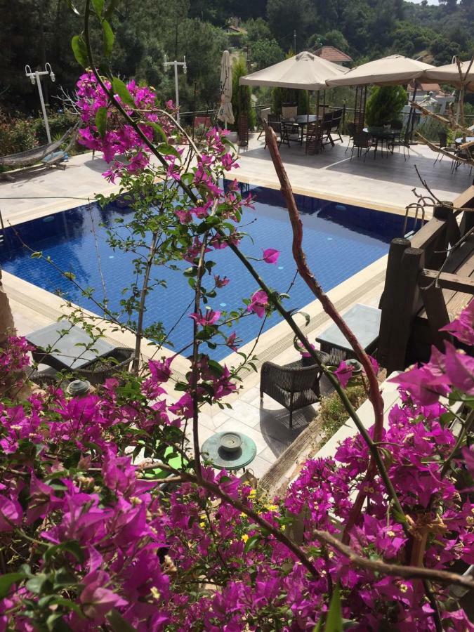 The Stone Castle Boutique Hotel Ağaçlı Екстериор снимка